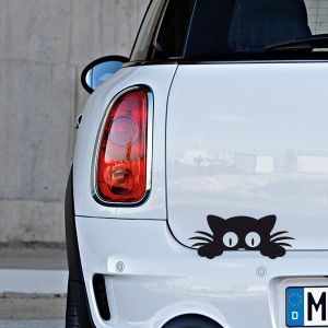 Chat Stickers Voiture