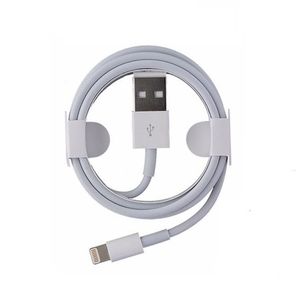 Chargeur pour iPhone SE / iPhone SE (2020) / iPhone SE (2022) Cable USB  Data Synchro Blanc 2m [Lot de 2]