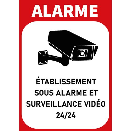 Autocollant sous vidéo surveillance alarme logo 5