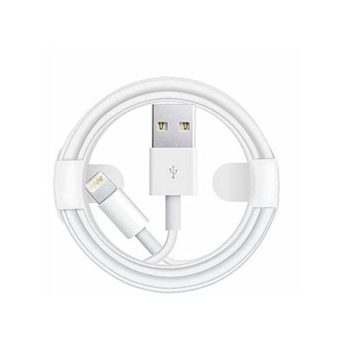 Apple Cable Lightning vers USB (1 m) : : Informatique