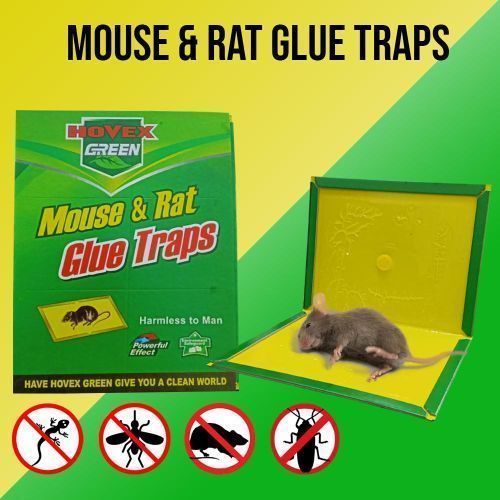 Generic 3*Piège à colle de souris Non toxique - Panneau collant, attrape- souris er Rats à prix pas cher