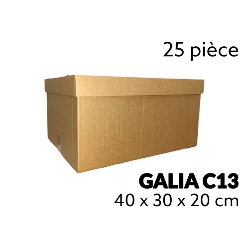 Carton Box Lot 25 - Caisse en carton Galia C13 - 40x30x20 cm