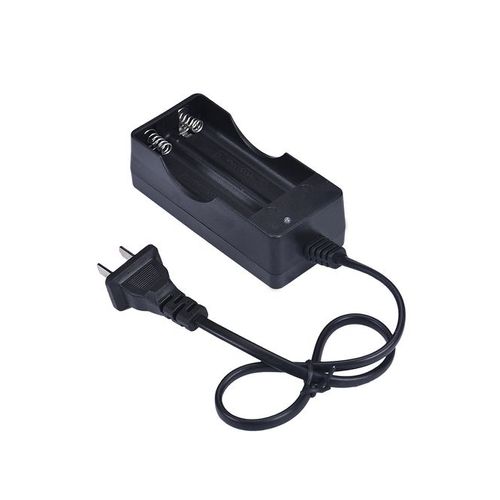 Chargeur de batterie Lithium-Ion 220V