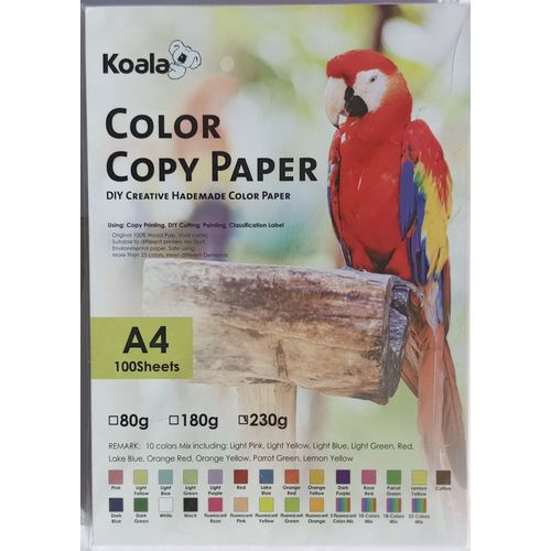 Paquet de 100 feuilles 130g A4 10 couleur pastel - prix pas cher