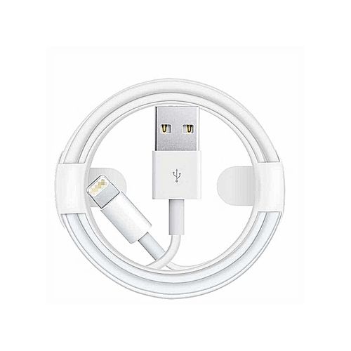 Sans Marque Câble - Pour iPhone X 8 7 6 5 SE, iPad - Câble USB - 1M à prix  pas cher