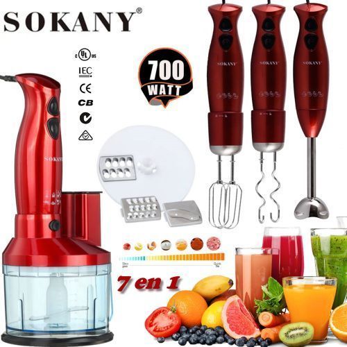 SOKANY Mixeur plongeant Professionnel 700 W