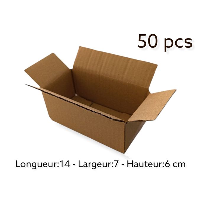 100 Sac boutique 20x25cm Blanc & Elégant  (colis/carton/plastique/scotch/fragile)