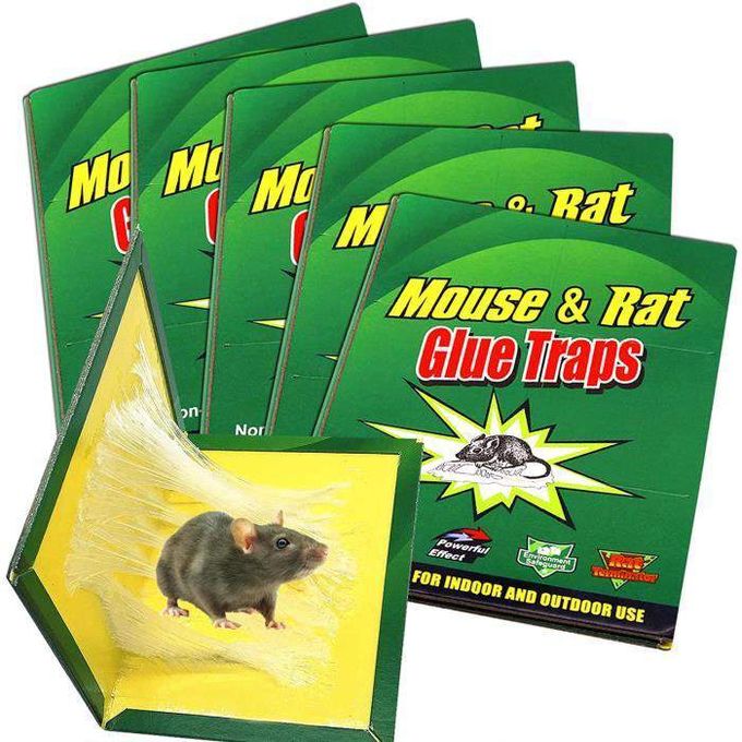 Lot de 6 pièges à souris d'intérieur - Grand piège à colle pour souris et  rats - Piège à souris collant avec adhérence extra forte, facile et  efficace : : Terrasse et Jardin