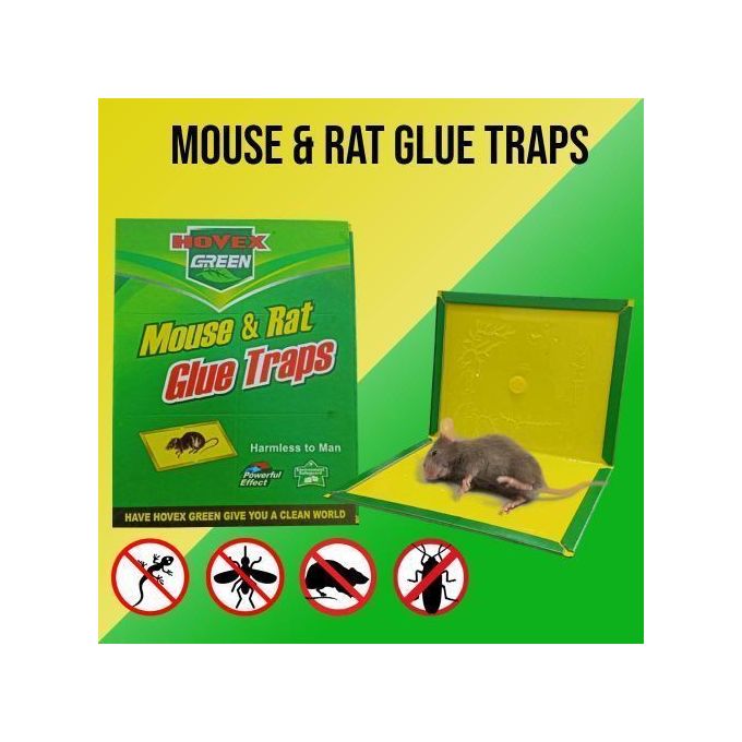 Slide  #5 Generic Lot 6 Piège à Souris - Piège à Rats - Attrape Souris - Plaque Collante