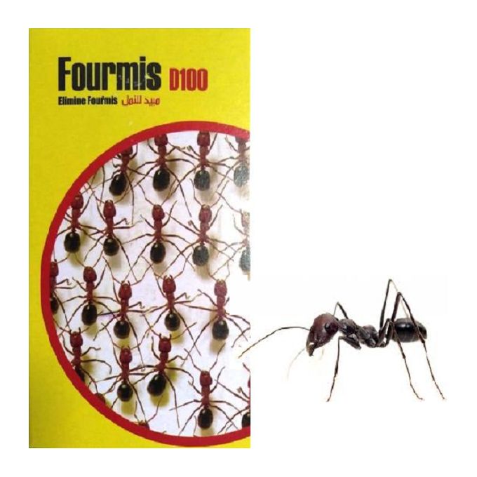 Anti fourmis en poudre Subito