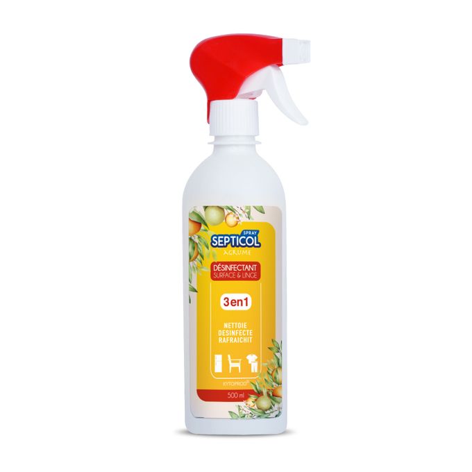 K-reine Spray désinfectant main et pied 500 ml