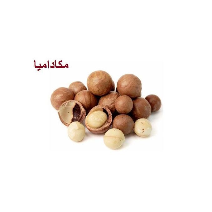 Slide  #1 Ecora food Noix de Macadamia-500gr-ماكادميا