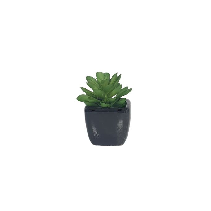 Sans Marque Petite Plante artificielle en Pot 8 X 7 Cm à prix pas cher |  Jumia Tunisie