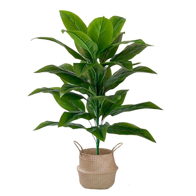 Sans Marque Plante - Verte - Artificielle - Grand Taille à prix pas cher |  Jumia Tunisie